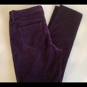 HOST PICK🎉✨NWOT Velvet Pant Deep Purple🎉✨